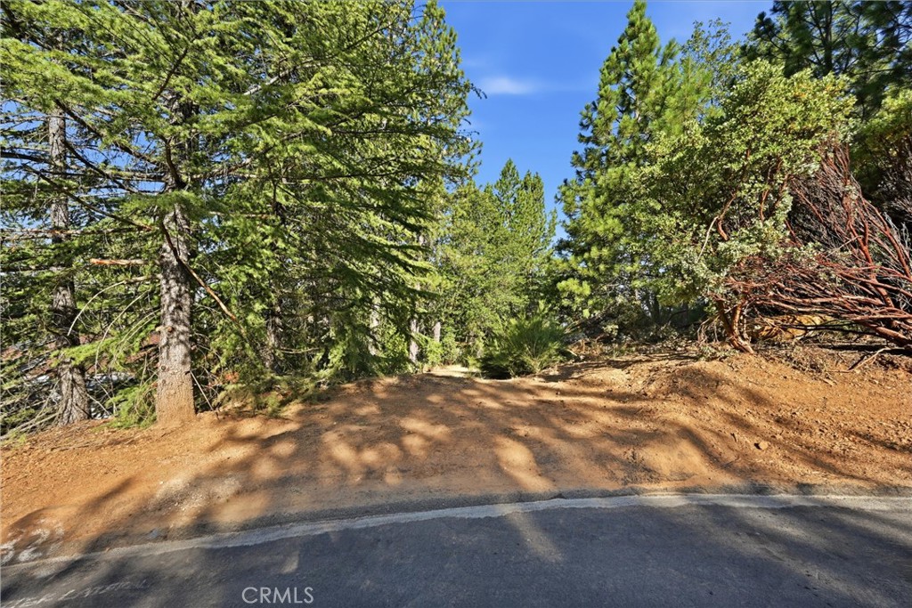 9003 Fox Drive Property Photo 8