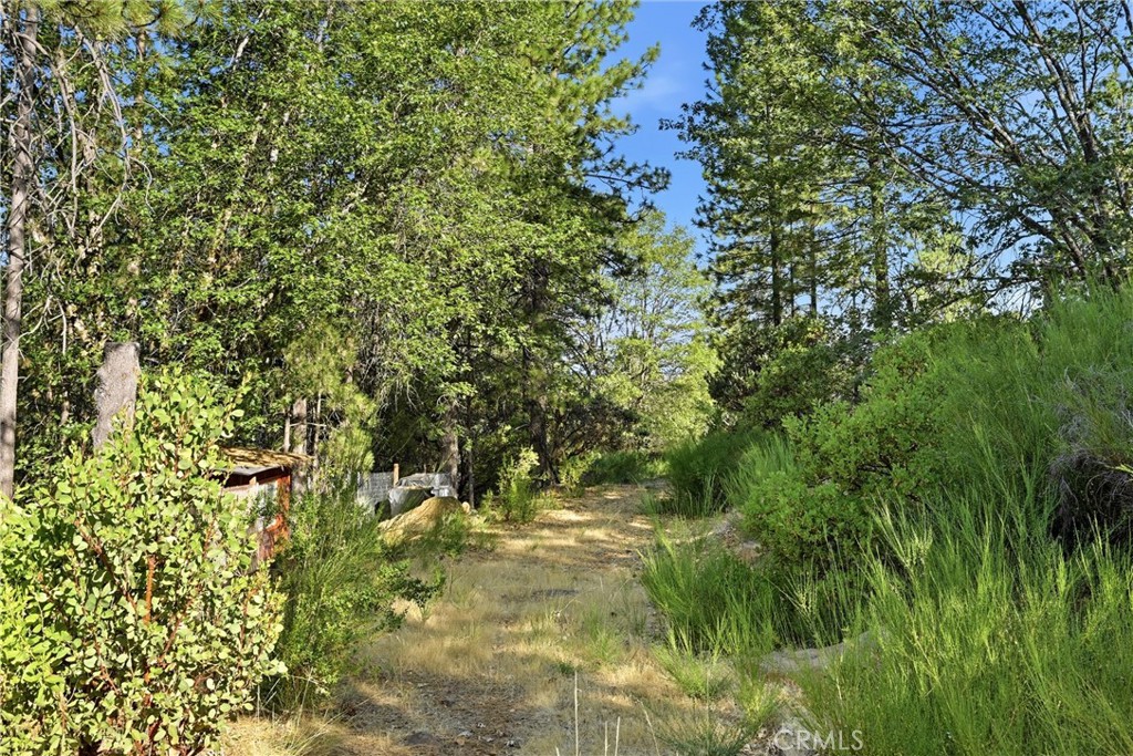 9003 Fox Drive Property Photo 11