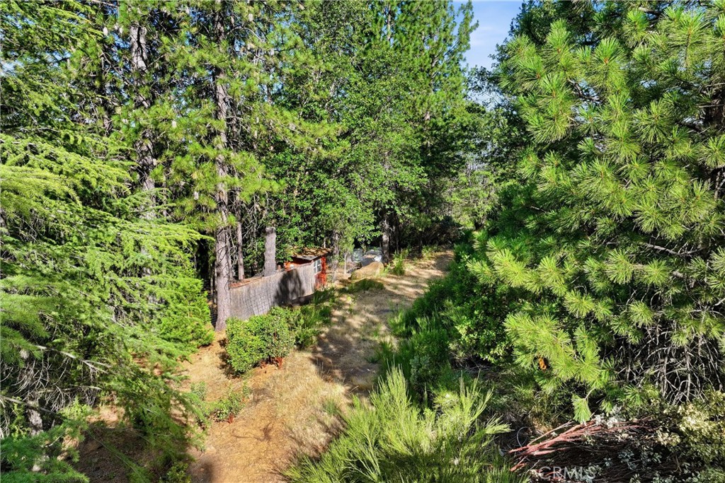 9003 Fox Drive Property Photo 12