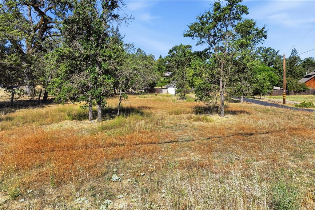 2441 Parallel Drive Property Photo 5