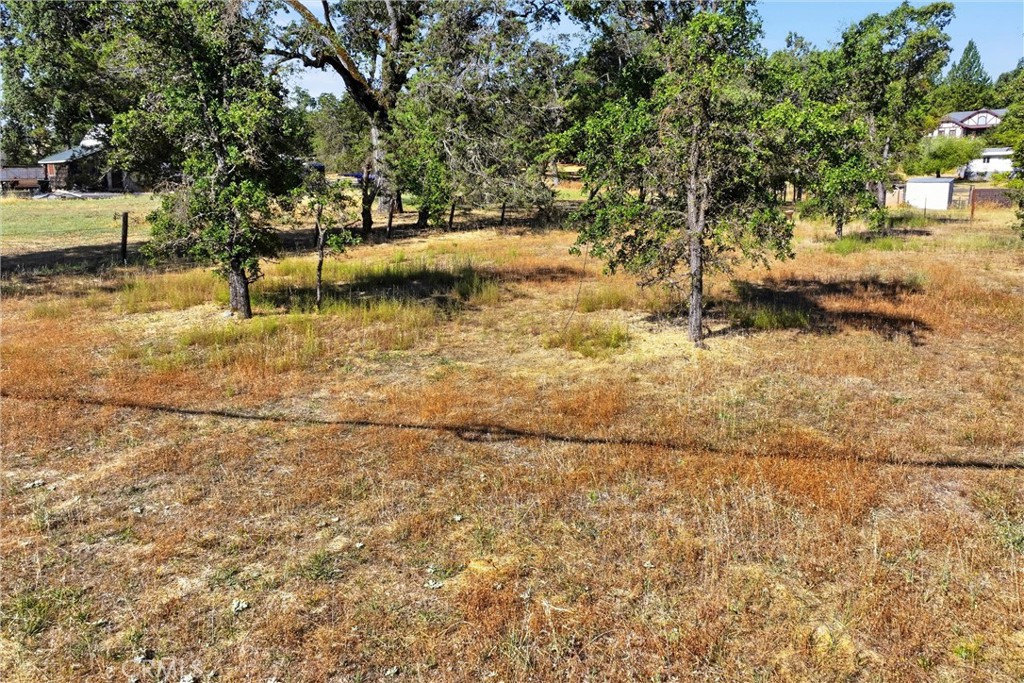 2441 Parallel Drive Property Photo 15