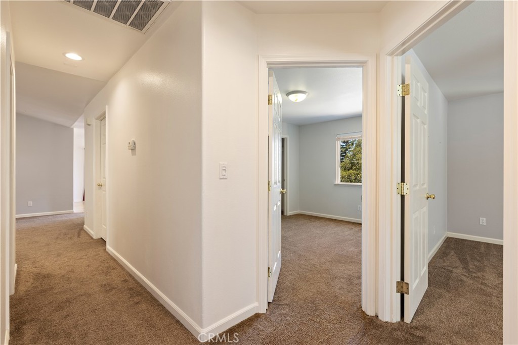 3639 Pine Terrace Drive Property Photo 19