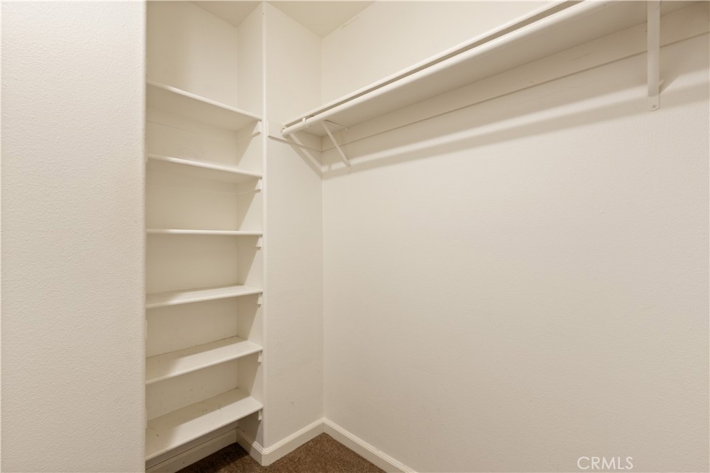 3639 Pine Terrace Drive Property Photo 22