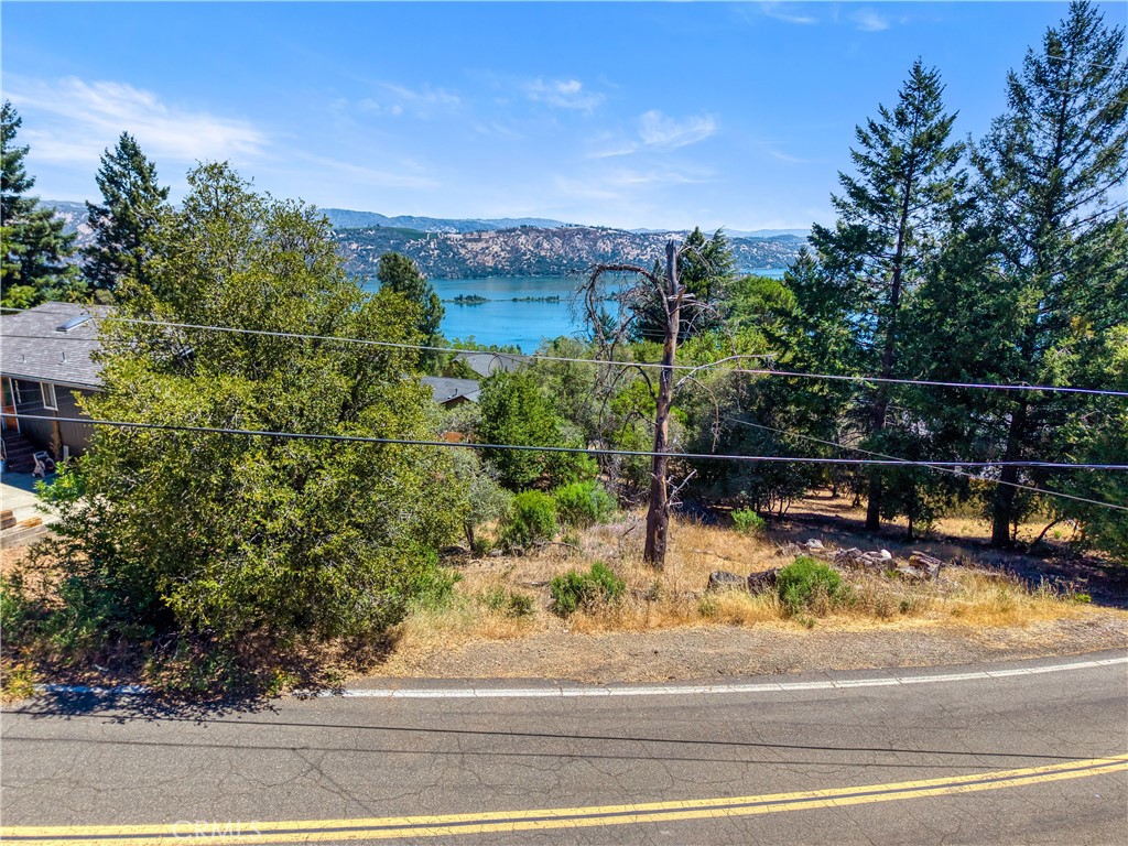 3639 Pine Terrace Drive Property Photo 50