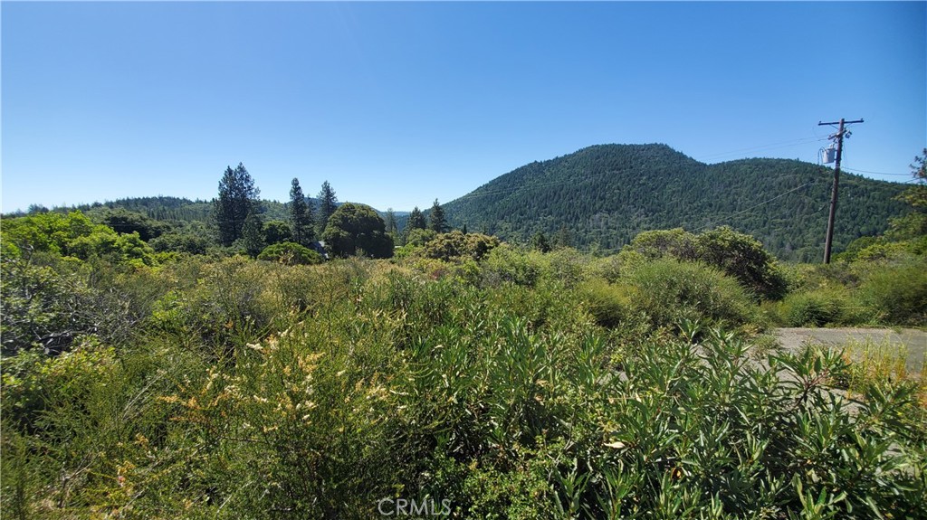 9176 Diamond Dust Property Photo 2
