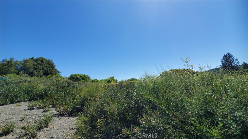 9176 Diamond Dust Property Photo 5