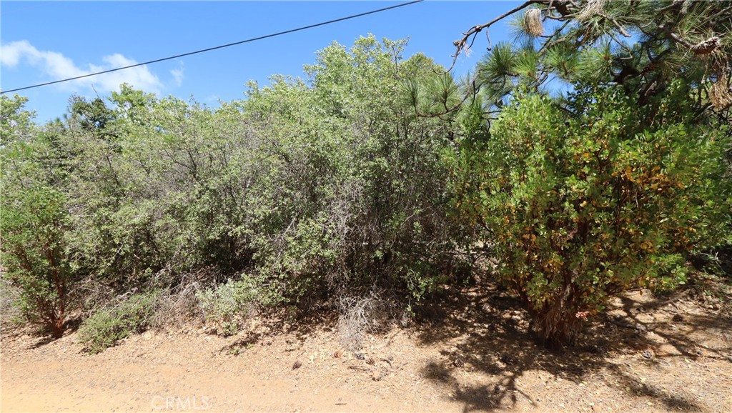 9176 Diamond Dust Property Photo 6