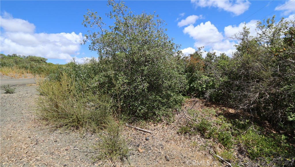 9176 Diamond Dust Property Photo 7
