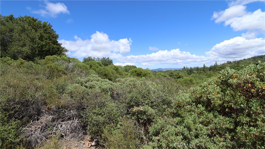 9176 Diamond Dust Property Photo 8