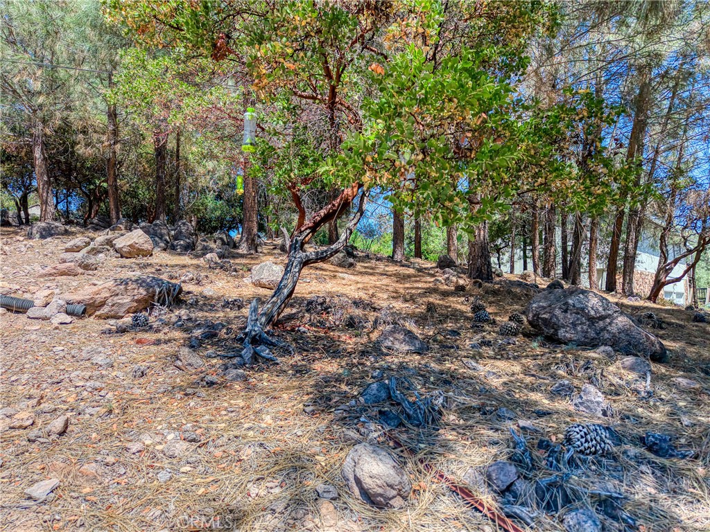 10266 Hok Has Ha Property Photo 4