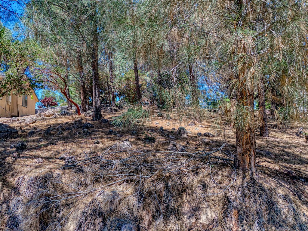10266 Hok Has Ha Property Photo 5