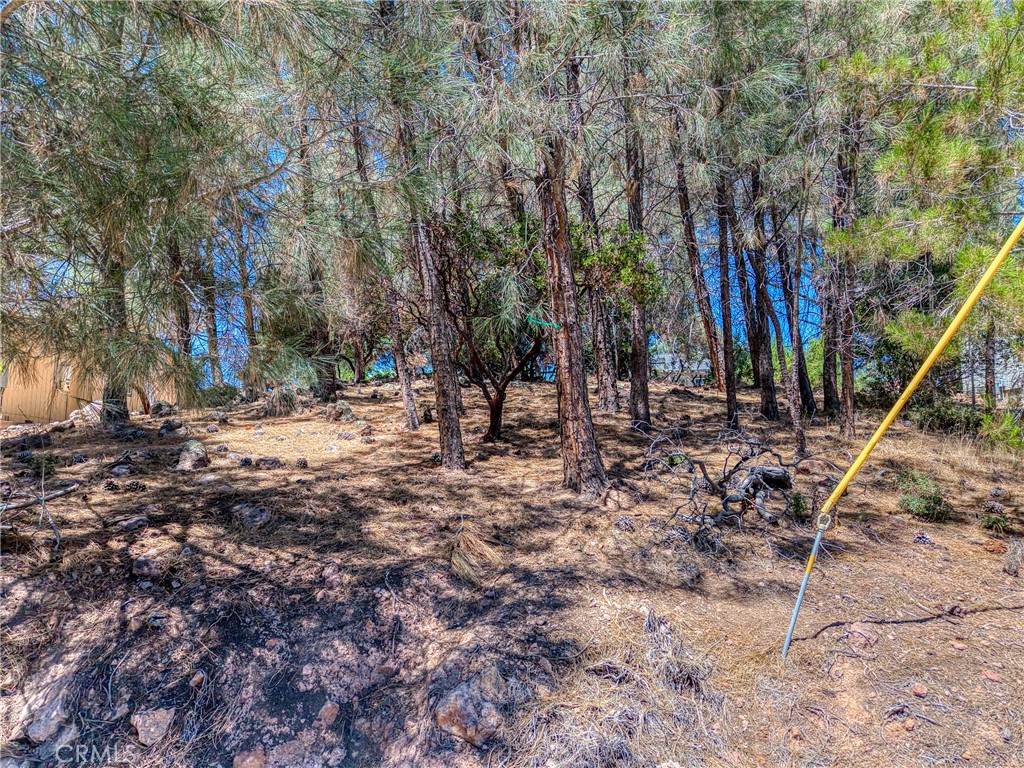 10266 Hok Has Ha Property Photo 6