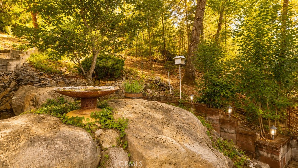 10780 Foothill Road Property Photo 19