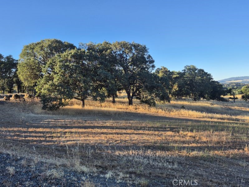 2225 Park Boulevard Property Photo 2