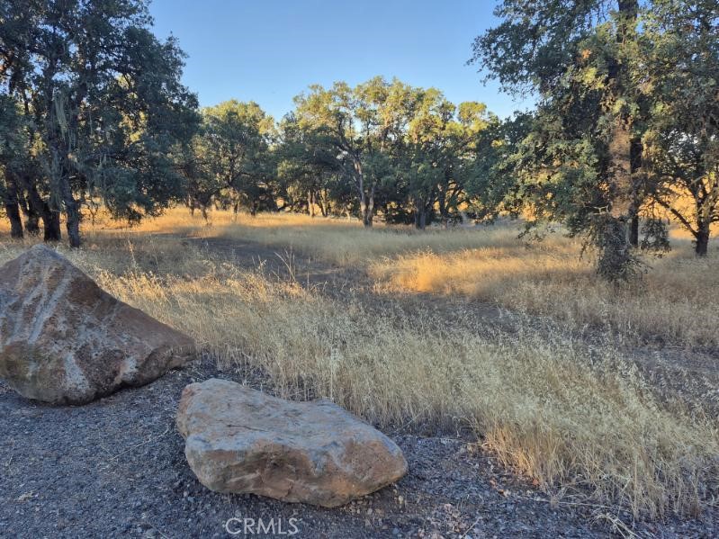 2225 Park Boulevard Property Photo 4