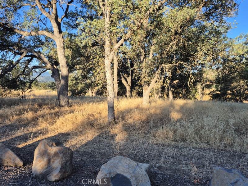 2225 Park Boulevard Property Photo 5