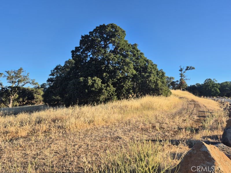 2225 Park Boulevard Property Photo 6