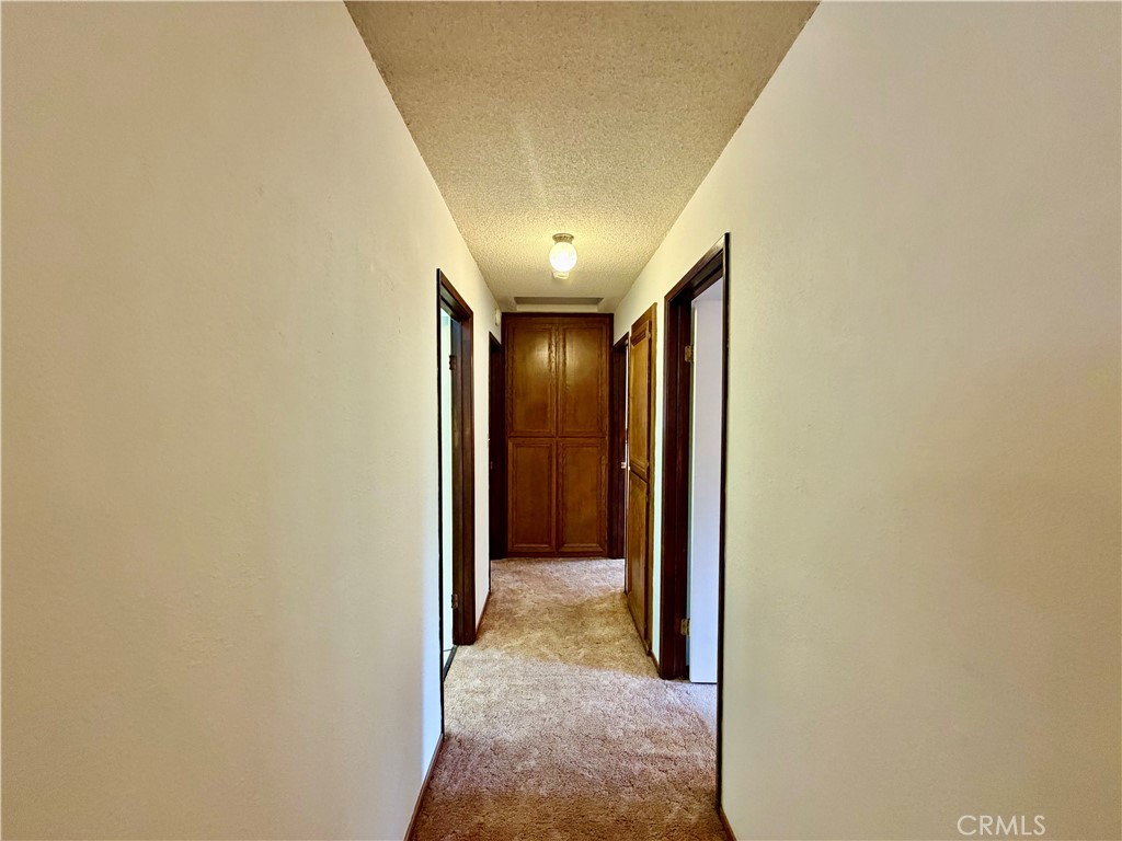 11783 Western Pine Road Property Photo 19