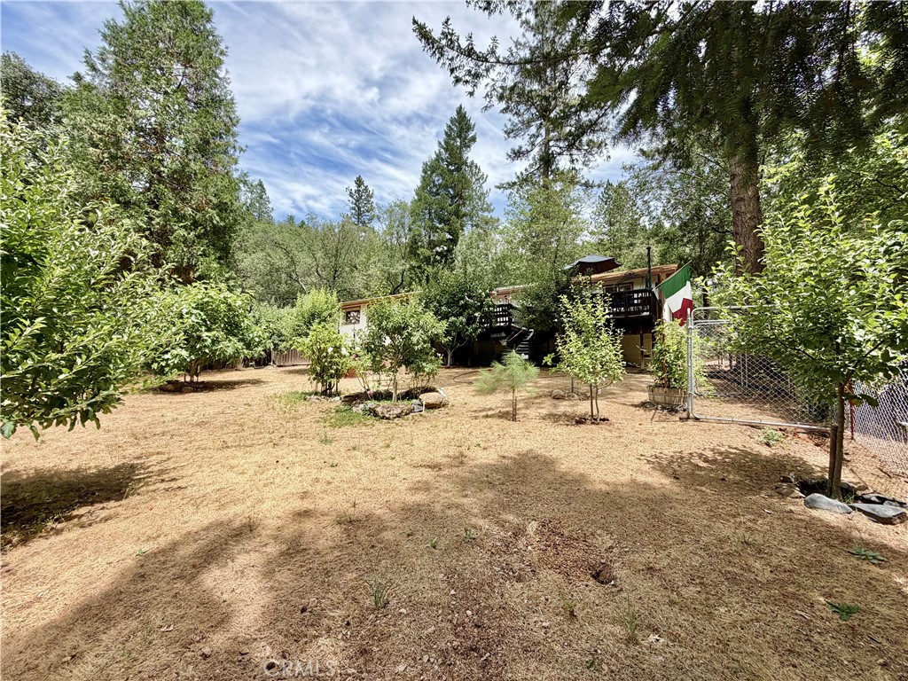 11783 Western Pine Road Property Photo 33