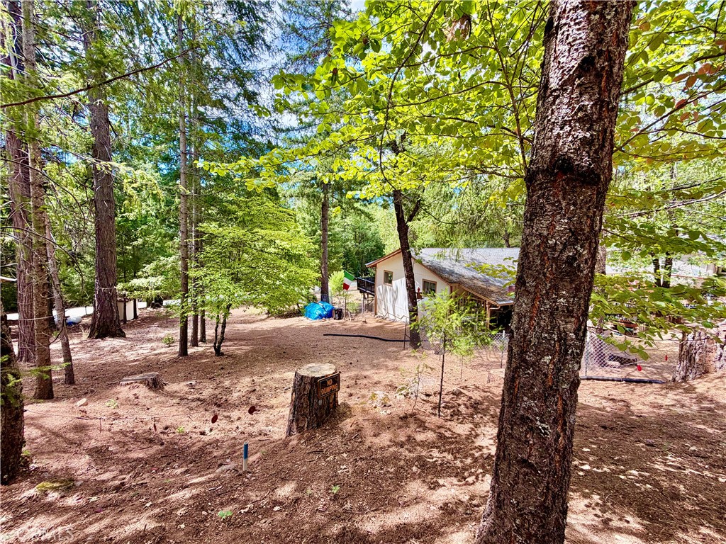 11783 Western Pine Road Property Photo 34