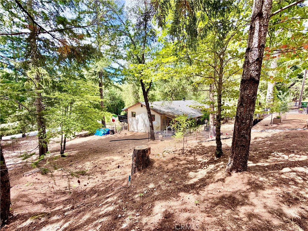 11783 Western Pine Road Property Photo 35