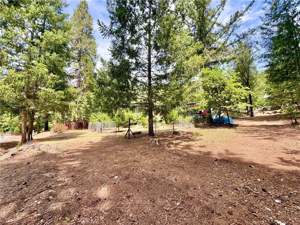 11783 Western Pine Road Property Photo 39