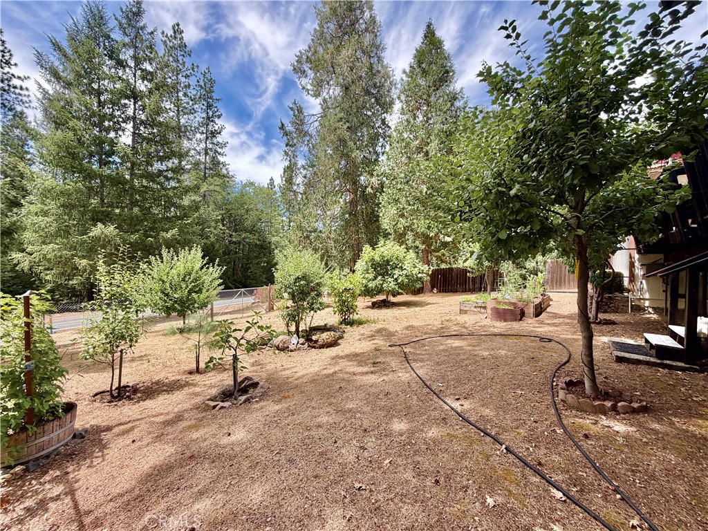11783 Western Pine Road Property Photo 40