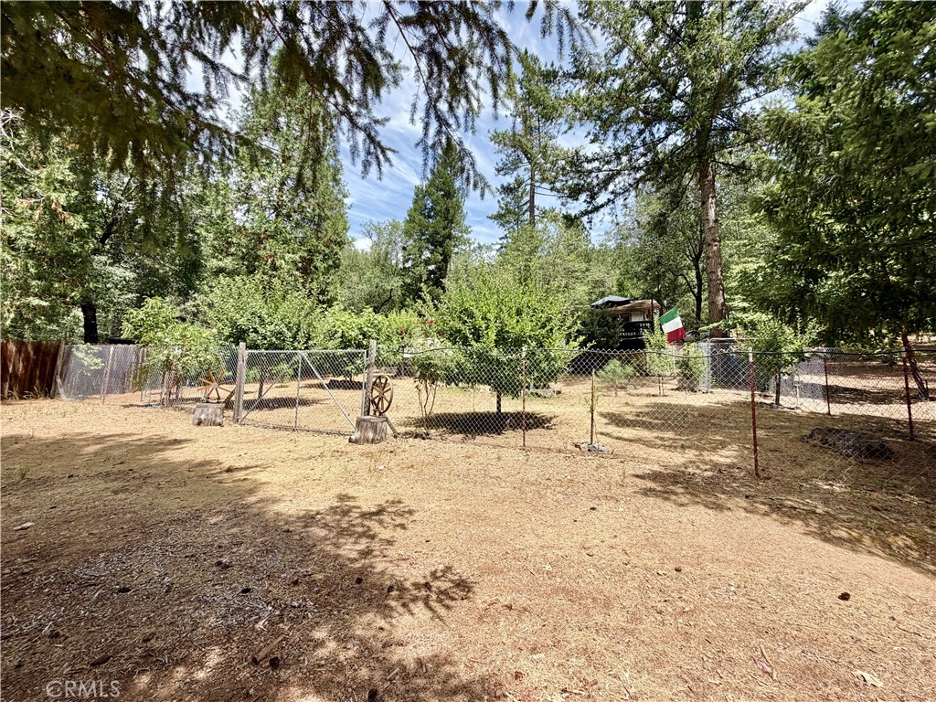 11783 Western Pine Road Property Photo 41
