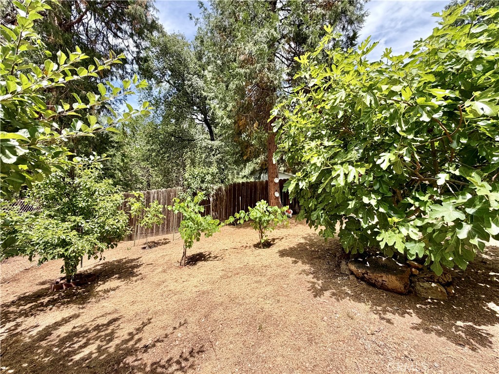 11783 Western Pine Road Property Photo 42