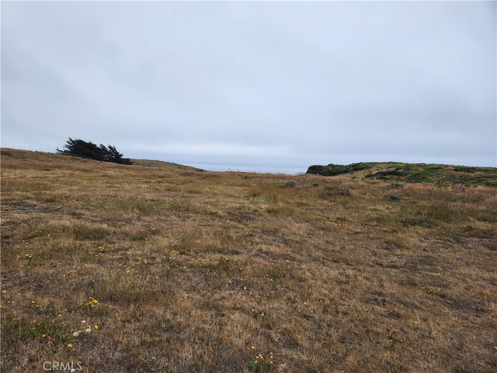 16200 S Highway 1 Property Photo 3