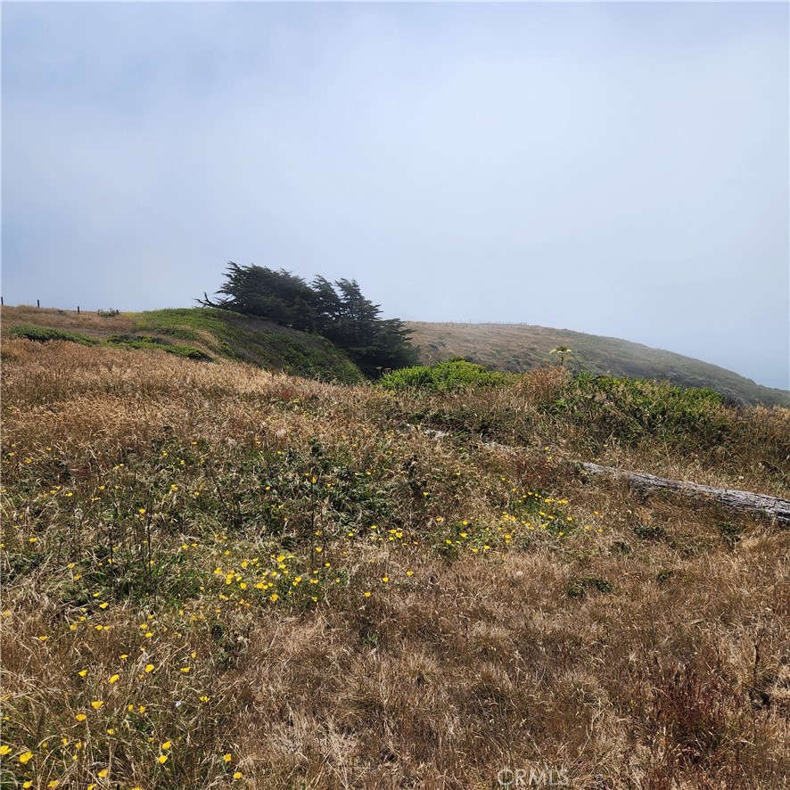 16200 S Highway 1 Property Photo 7