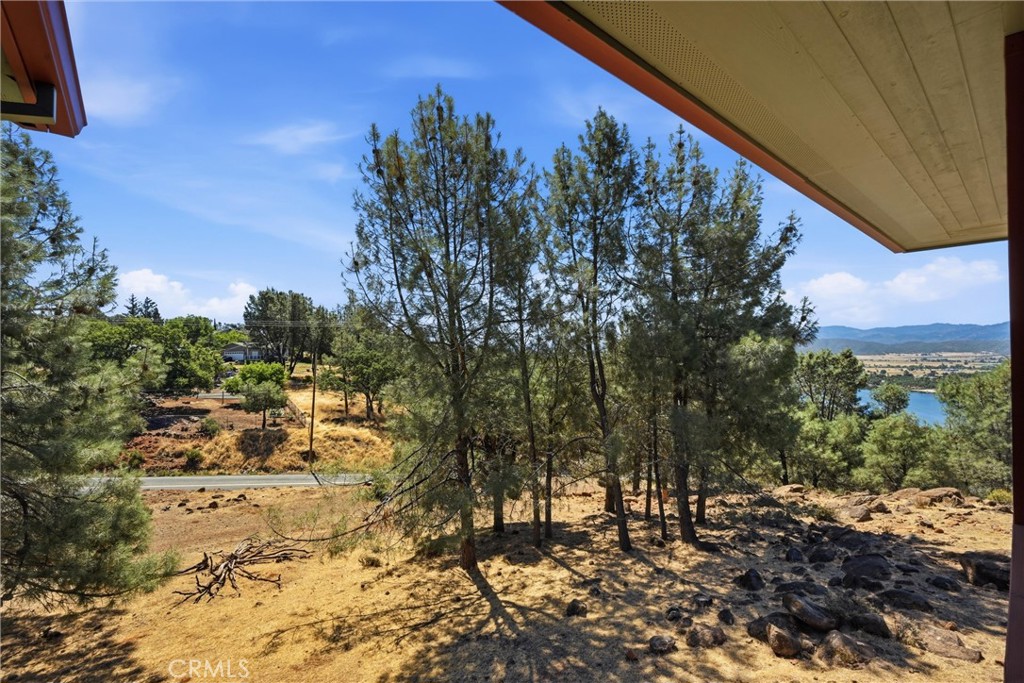 16542 Crescent Court Property Photo 32