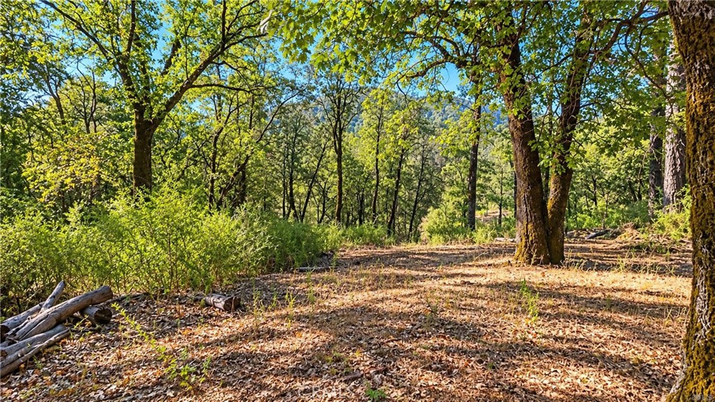 15305 Western Mine Road Property Photo 29