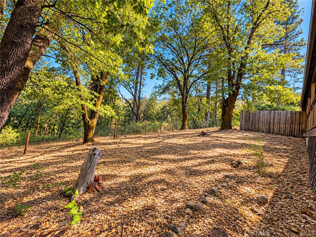 15305 Western Mine Road Property Photo 31