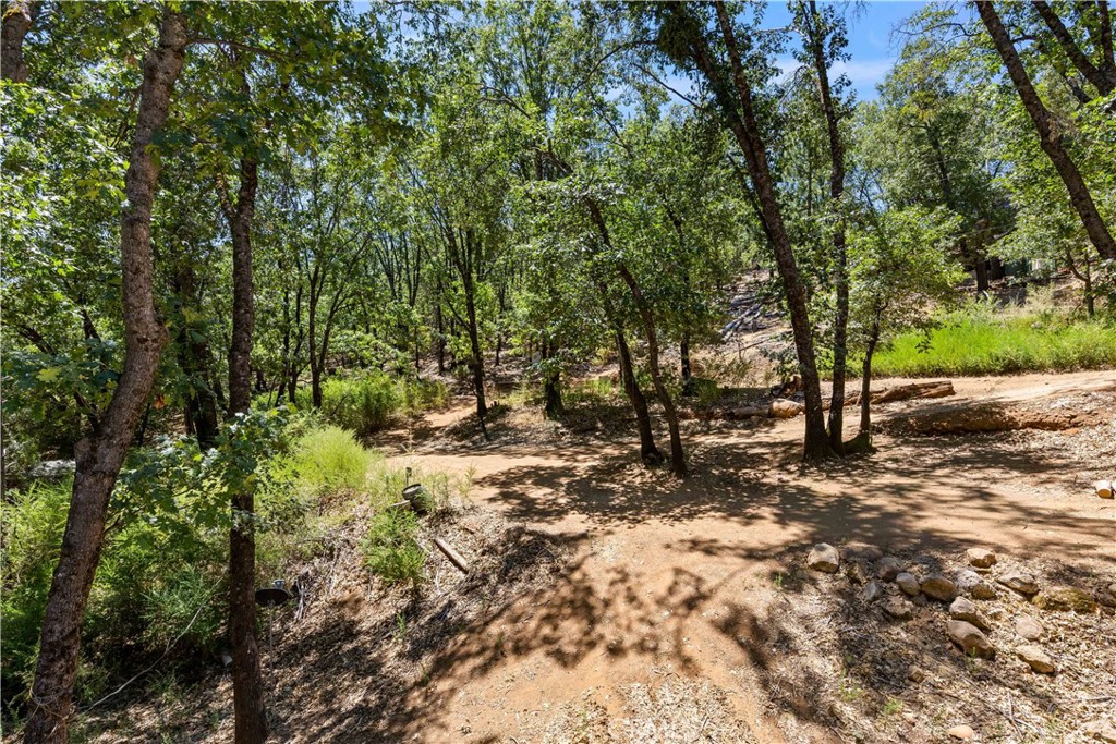 11755 Loch Lomond Road Property Photo 25