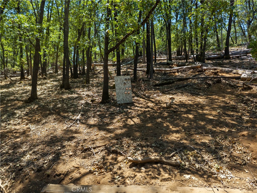 11755 Loch Lomond Road Property Photo 32