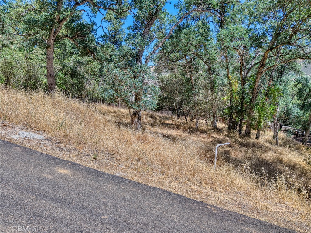 13020 Ridge Street Property Photo 2