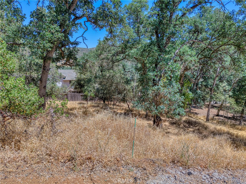13020 Ridge Street Property Photo 3