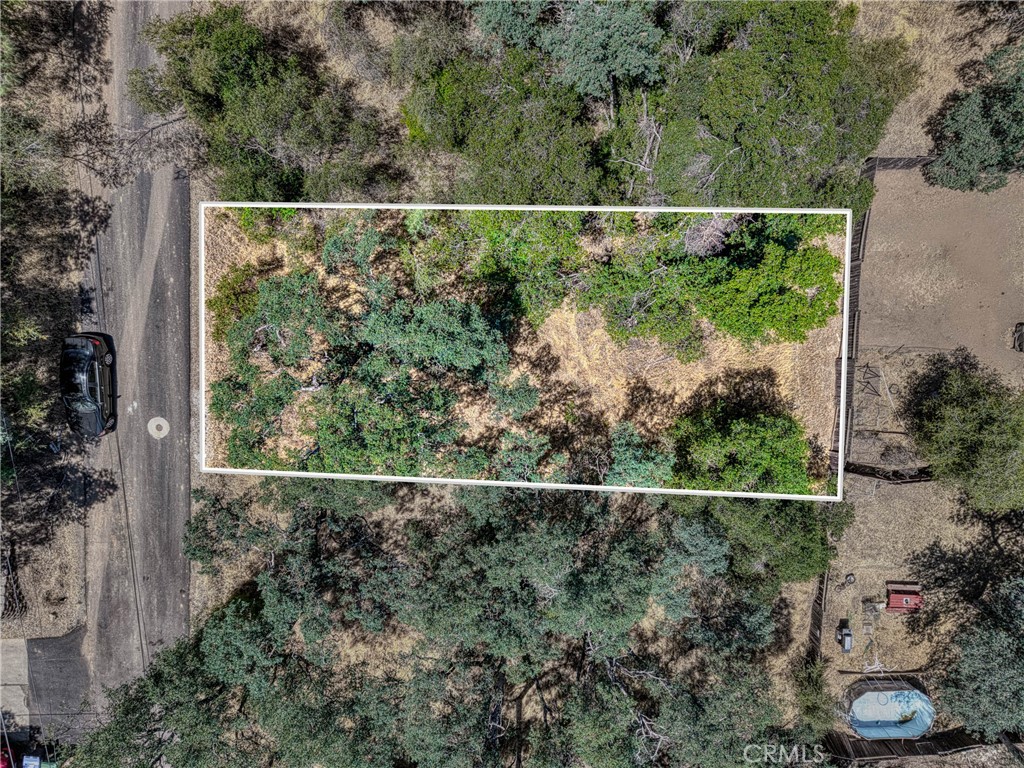 13020 Ridge Street Property Photo 4