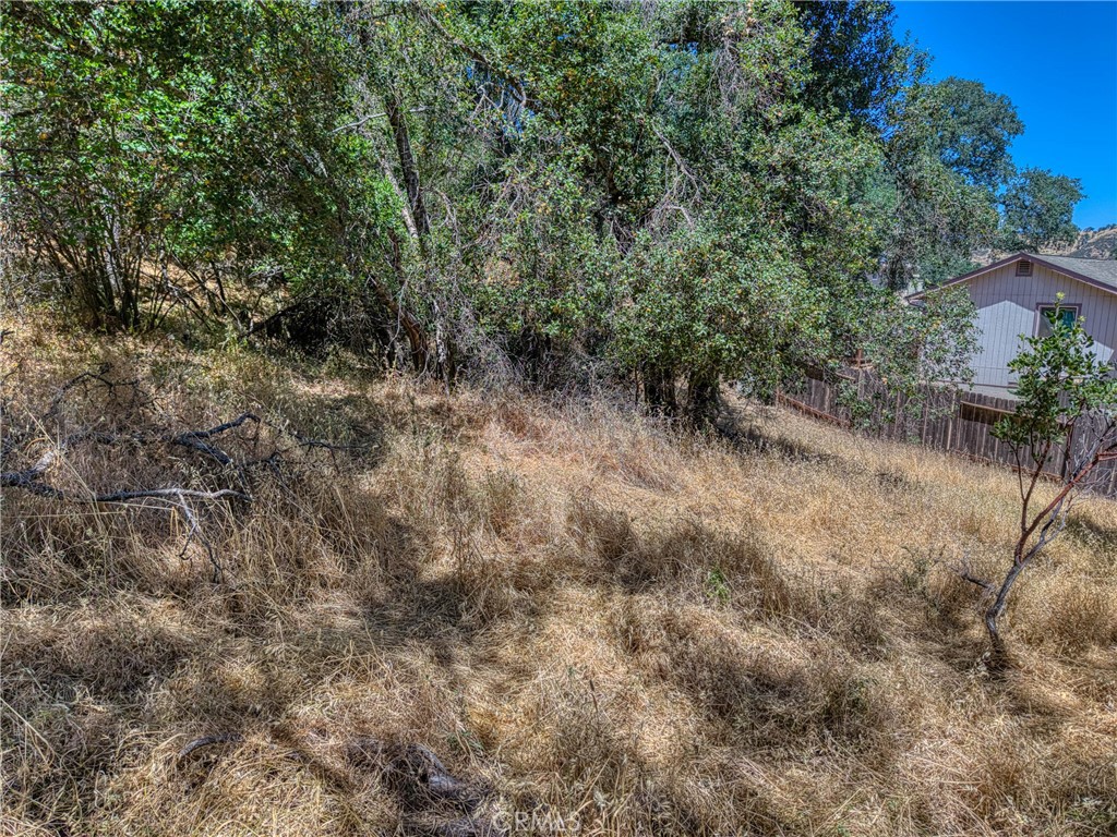 13020 Ridge Street Property Photo 6
