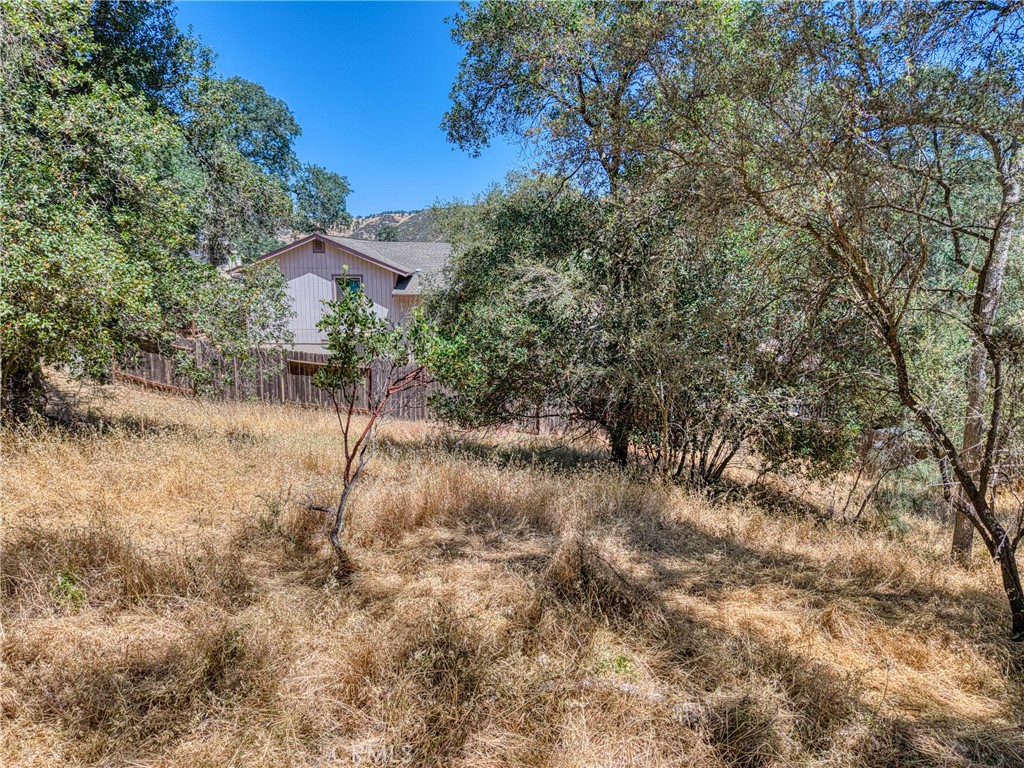 13020 Ridge Street Property Photo 7