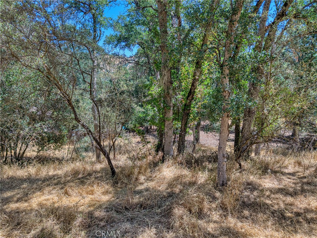 13020 Ridge Street Property Photo 8
