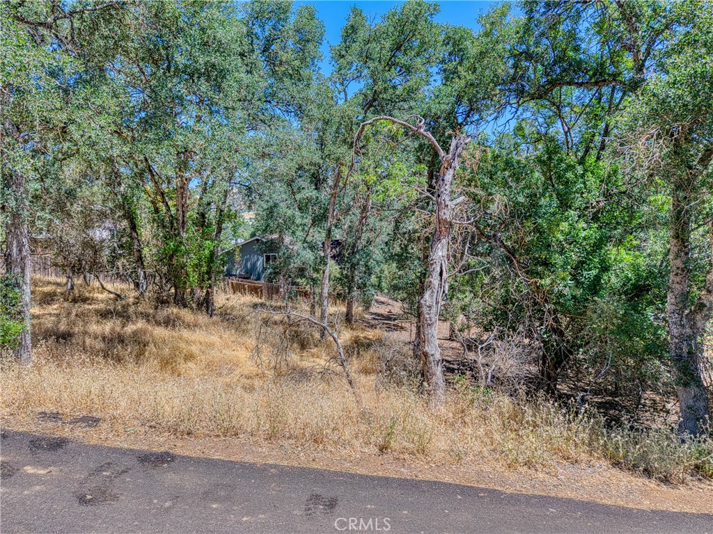 13020 Ridge Street Property Photo 10