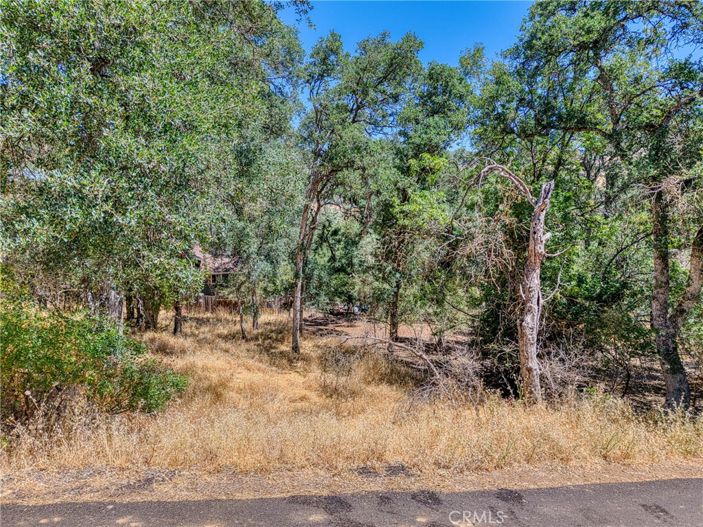 13020 Ridge Street Property Photo 11