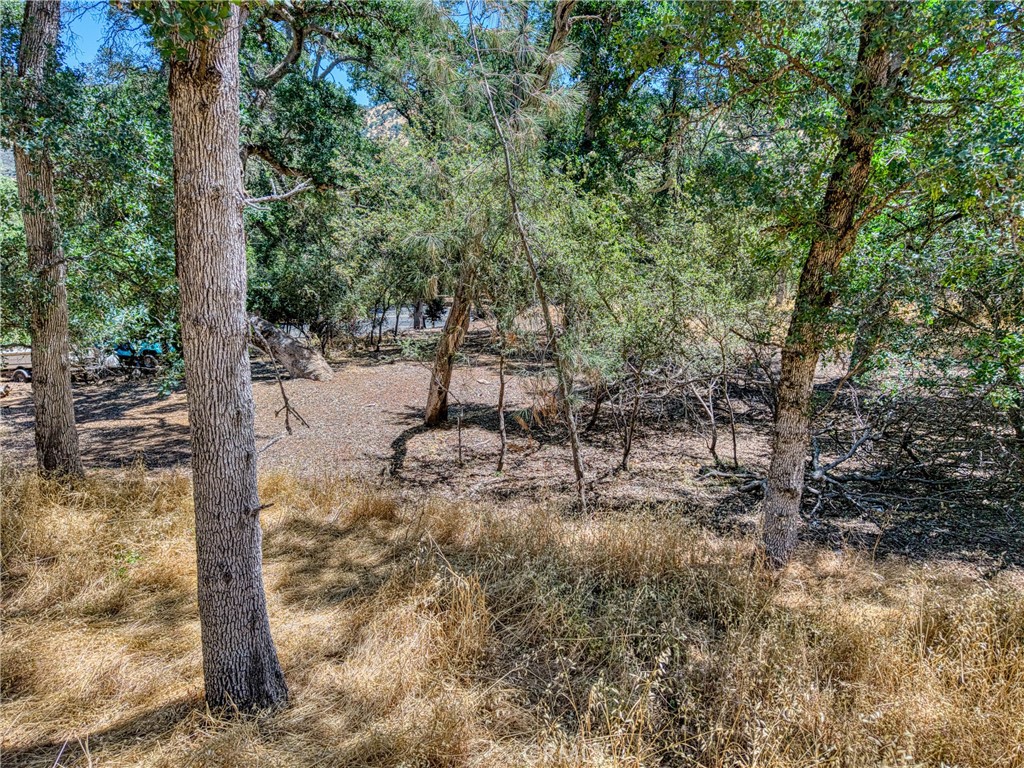 13020 Ridge Street Property Photo 13