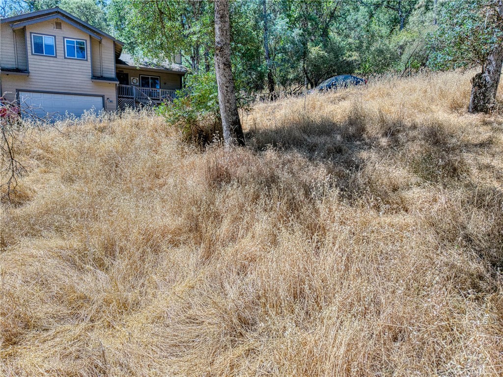 13020 Ridge Street Property Photo 15