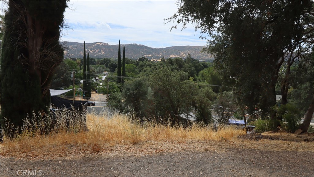 12871 Lakeview Drive Property Photo 1