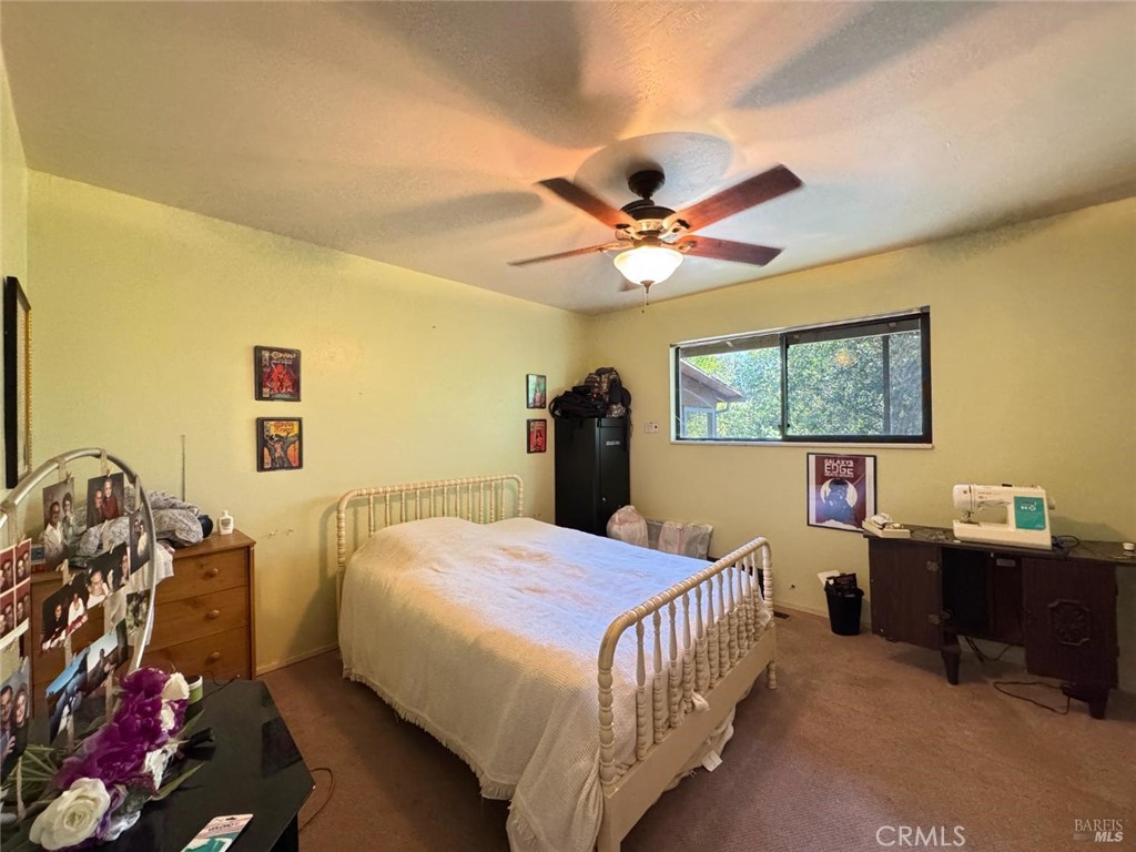 4400 Lake Ridge Drive Property Photo 16
