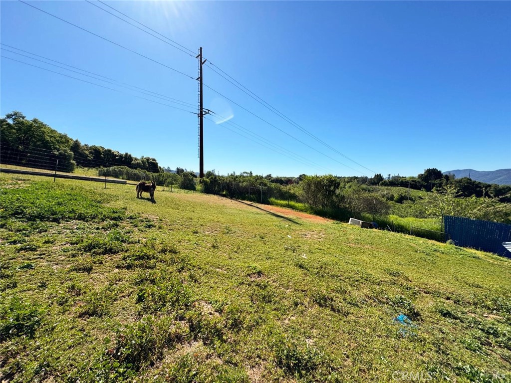 4400 Lake Ridge Drive Property Photo 54