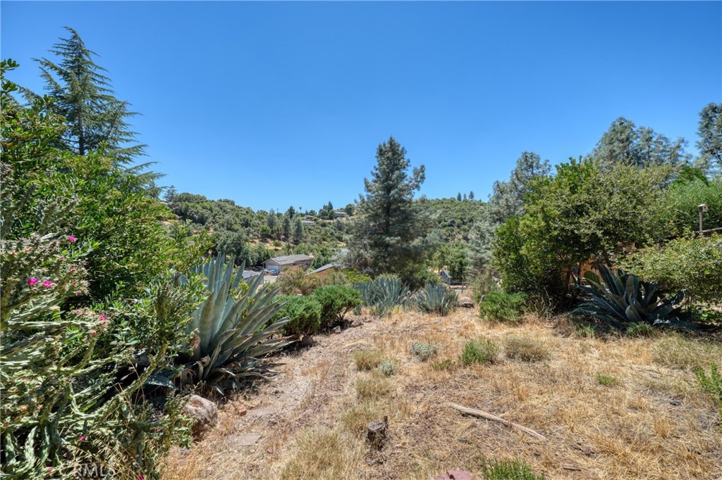 10377 Walnut Way Property Photo 57